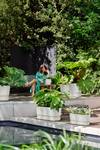 greenville terrace trough 60cm wheels wit